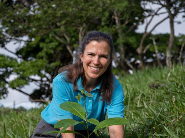 Die Umweltwissenschaftlerin Karen Holl aus Kalifornien pflanzt zu Forschungszwecken auch selbst Bäume.