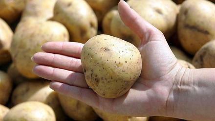 Behörden gehen Hinweisen nach, nach denen ein Kartoffel-Kartell in Deutschland über Jahre hinweg die Preise künstlich hoch gehalten haben soll. Die Dummen dabei: die Verbraucher.