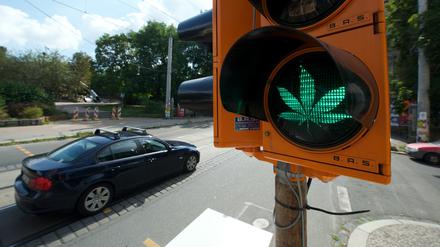 Nach dem Cannabis-Konsum sollen künftig Grenzwerte im Straßenverkehr gelten. Aktivisten haben den negativen Scherenschnitt eines Cannabis-Blattes auf das Grün einer Behelfsampel in Leipzig geklebt.