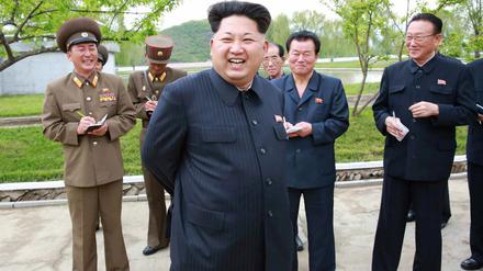 Diktator Kim Jong Un (vorne) könnte trotz internationaler Sanktionen einen neuen Raketenstart planen.