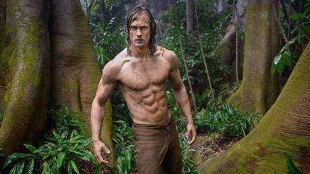 Machtpose durch Trommeln auf die Brust: Alexander Skarsgard im Kinofilms "Legend of Tarzan". 