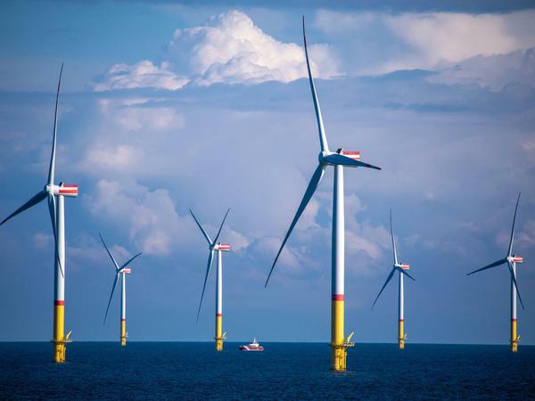 Klimaschützer auf hoher See: Ein Windpark in der Ostsee. 