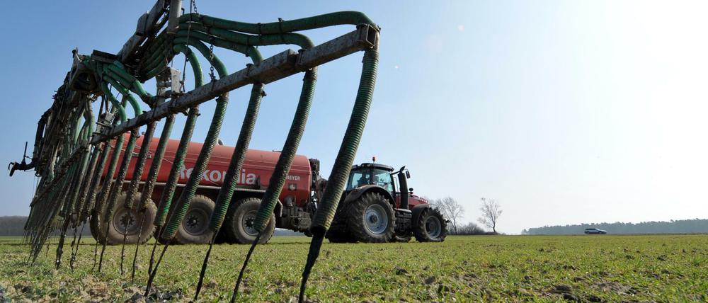 Dünger für die Landwirtschaft: Bauern sollen zusätzliche staatliche Hilfen bekommen.
