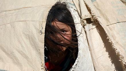 Wo ist Heimat, wenn man sich auf der Flucht befindet? Ein afghanisches Mädchen, das aufgrund von von Kämpfen zwischen den Taliban und afghanischen Sicherheitskräften den Norden ihres Landes verlassen hat.