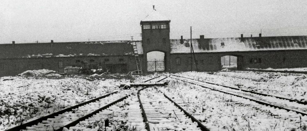Das Konzentrationslager Auschwitz wurde vor 72 Jahren von den vorrückenden Truppen der Roten Armee befreit. (Undatiertes Archivbild)