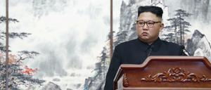 Nordkoreas Machthaber Kim Jong Un 