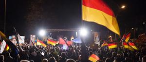 Teilnehmer einer Kundgebung der «Alternative für Deutschland» (AfD) schwenken am 18.11.2015 in Erfurt (Thüringen) ihre Fahnen. Es soll die vorerst letzte Kundgebung der Thüringer AfD in diesem Jahr sein. 