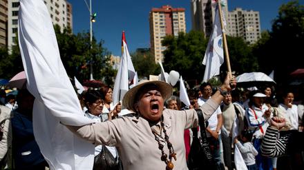 Eine Bolivianerin demonstriert gegen die Maßnahmen der Übergangsregierung. Die Zahl der Opfer bei Zusammenstößen zwischen Anhängern des zurückgetretenen Präsidenten Morales und Sicherheitskräften in Bolivien ist stark angestiegen.