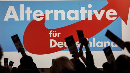 Delegierte halten beim Landesparteitag AfD Hessen ihren Stimmzettel. 