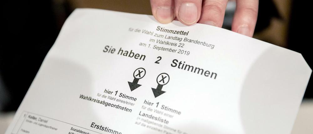 Welche Koalitionen werden die Kreuze auf den Wahlzetteln in Brandenburg und Sachsen möglich machen? 