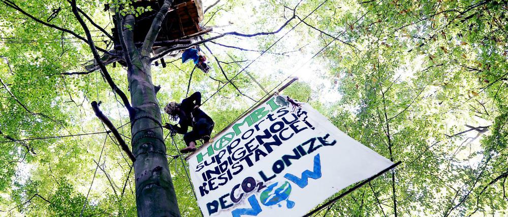 Der Protest gegen die umstrittenen Rodungen im Hambacher Forst läuft schon seit Jahren.