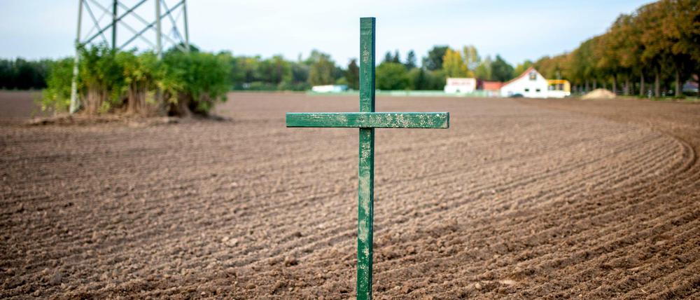 Ein grünes Holzkreuz steht als Mahnmal der Bauern auf einem Feld in Niedersachsen. 
