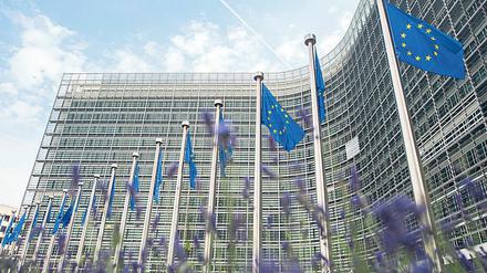 Europaflaggen vor der Europäischen Kommission in Brüssel. 