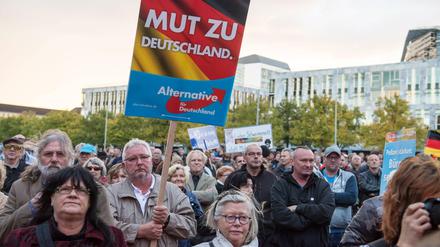 Wahlkampfkundgebung der AfD in Magdeburg.