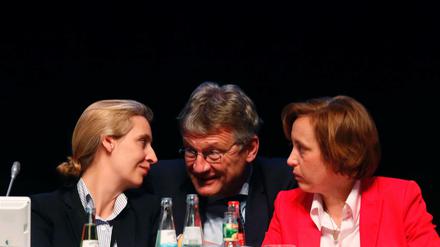 Alice Weidel (L), Jörg Meuthen und Beatrix von Storch (R)