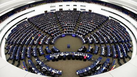 Zu den Europaabgeordneten wollen demnächst auch Mitglieder der neuen Volt-Bewegung gehören.