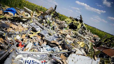 Wegen anhaltender Kämpfe im Gebiet des Absturzes von Flug MH17 in der Ostukraine wird die Mission zur Bergung sterblicher Überreste und persönlicher Gegenständen zunächst eingestellt.