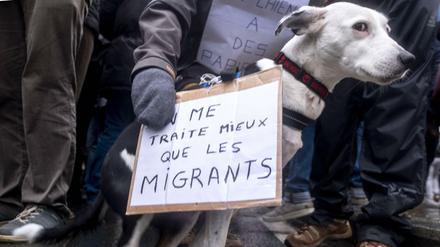 "Ich werde besser behandelt als die Migranten" - Szene einer Demonstration in Brüssel vergangene Woche