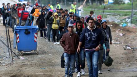 Auf dem Weg in die EU. Migranten und Flüchtlinge nahe der Stadt Idomeni an der Grenze zwischen Griechenland und Mazedonien. 