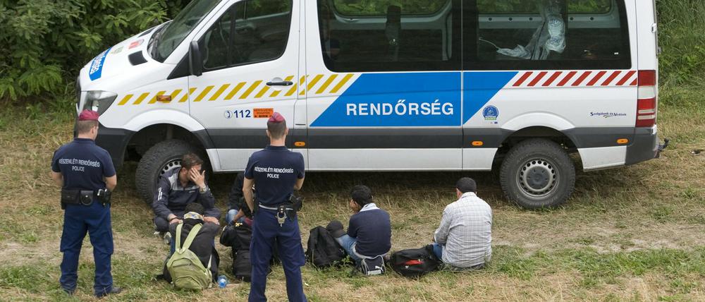 Die ungarische Polizei nimmt Flüchtlinge fest.