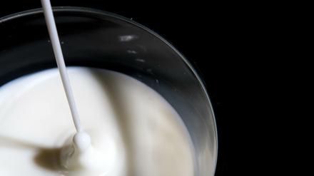 Gesund oder nicht? Ernährungsexperten streiten über die Milch. Der Absatz sinkt. 