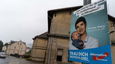 Ein Wahlplakat mit Frauke Petry an einer Laterne in Rathmannsdorf (Sachsen), im Hintergrund das stillgelegte Bahnhofsgebäude.