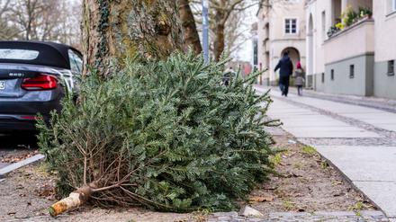 Öffentliche Müllentsorgung. Ein Ex-Weihnachtsbaum am Straßenrand in Charlottenburg.