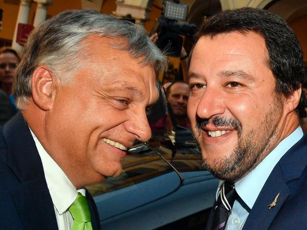 Due che vanno d'accordo: Matteo Salvini (a destra) e Viktor Orban