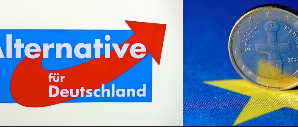 Außer Kritik am Euro finden sich so gut wie keine Themen im Wahlprogramm der neuen Partei "Alternative für Deutschland".