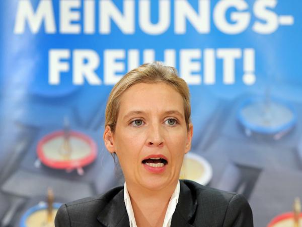 Alice Weidel, Vorsitzende der AfD-Bundestagsfraktion.