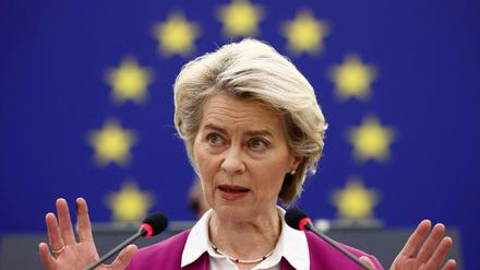 Ursula von der Leyen, Präsidentin der Europäischen Kommission, hatte im Sommer einen sogenannten Green Deal in der EU-Agrarpolitik versprochen.