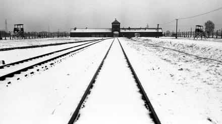 Die Tür des Todes in Birkenau. Auschwitz war das größte Konzentrationslager der Nationalsozialisten, ein riesiger Lagerkomplex mit drei Hauptlagern und mehreren Nebengebäuden. Innerhalb des zweiten Hauptlagers wurde ein Vernichtungslager eingerichtet.