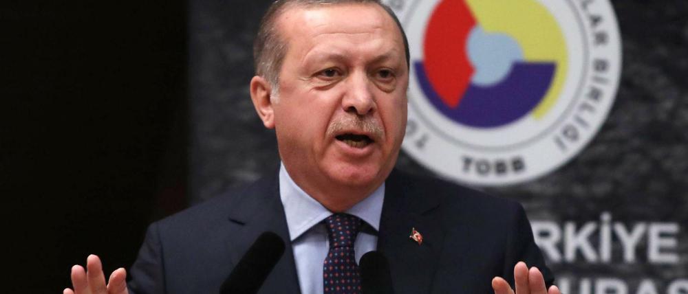 Der türkische Präsident Erdogan will künftig mit seinem US-Kollegen Trump kooperieren.