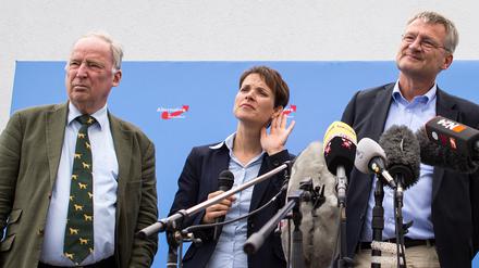 Die AfD-Führungsriege: Alexander Gauland, Frauke Petry und Jörg Meuthen (von links).