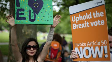 Seitdem sich Großbritannien mehrheitlich gegen den Verbleib in der EU ausgesprochen hat, protestieren Menschen gegen das Ergebnis des Referendums.