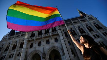 Protest mit der Regenbogenfahne in Budapest gegen ein geplantes Gesetz