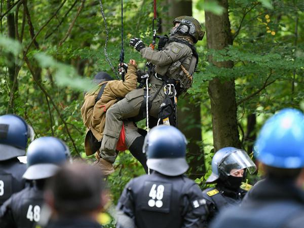 Zwischen Baum und Leitplanke: Das Dilemma der Grünen zeigt sich im ...