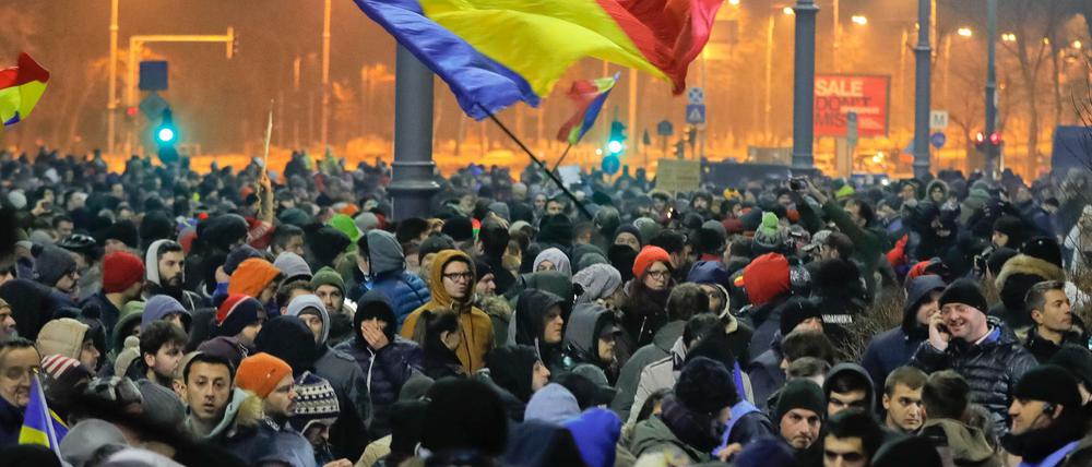 Demonstranten in Bukarest protestieren gegen ein Dekret der Regierung zur Straffreiheit von Korruption.