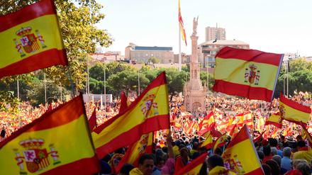 Ein Meer spanischer Flaggen am Samstag in Madrid. 