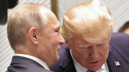 U.S. Präsident Donald Trump und der Russische Präsident Wladimir Putin im Gespräch am Rande des Gipfeltreffens in Danang (Vietnam). 
