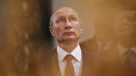 Wladimir Putin. Gegen ihn sind sie chancenlos - das wissen die Bewerber um das Präsidentenamt in Russland.