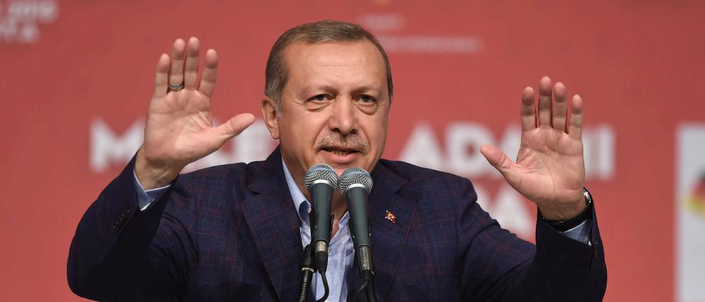 Grünen-Chef Cem Özdemir übt harsche Kritik am türkischen Staatspräsidenten Recep Tayyip Erdogan.