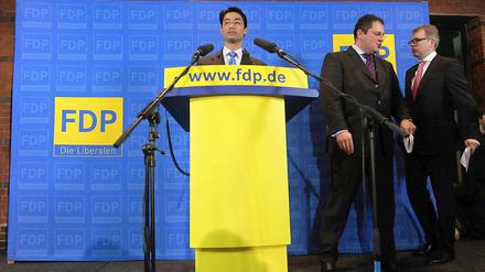 Die FDP um ihren Chef Philipp Rösler versucht sich zu sortieren.