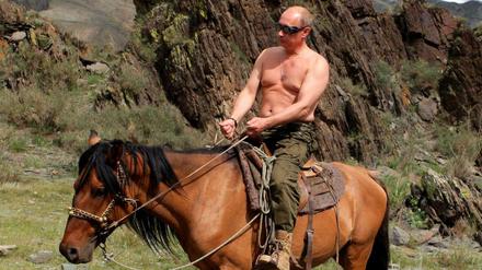 Prinzipienstark oder peinlich? Wladimir Putin auf dem Pferd.