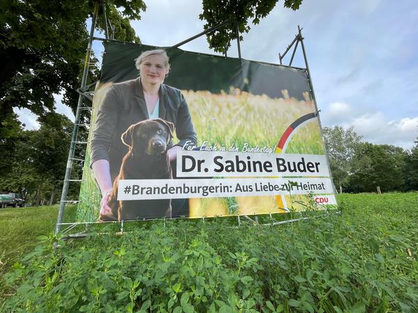 Ein Wahlplakat von Sabine Buder. 
