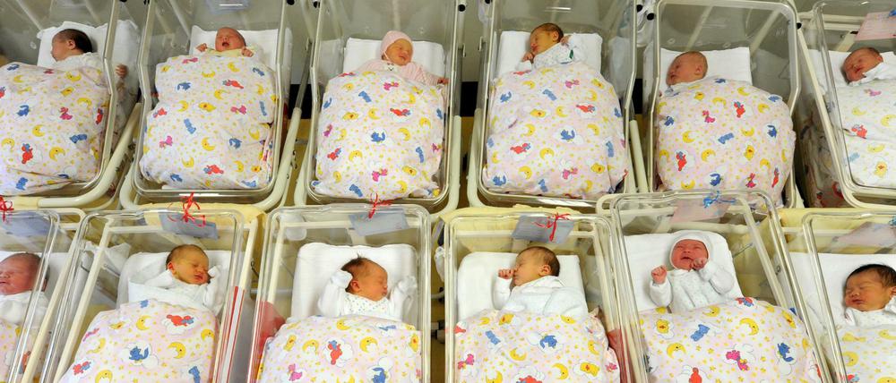 Ausgerechnet. Sachsen liegt bei der Geburtenrate im bundesweiten Vergleich weiter an der Spitze. 