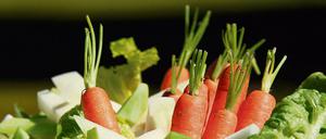Salat - ein Statussymbol? Vegetarier-sein ist mehr als nur eine Ernährungsweise, sagt unsere Kolumnistin Ursula Weidenfeld.
