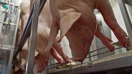 Ist es ethisch verantwortbar, die fleischverarbeitende Industrie zu unterstützen? Vor 30 Jahren hat kaum einer diese Frage gestellt.