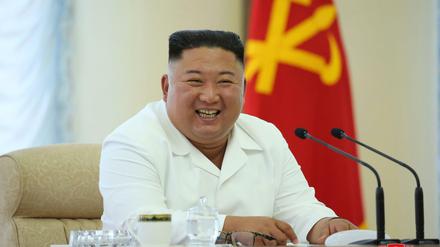 Kim Jong Un, Machthaber von Nordkorea