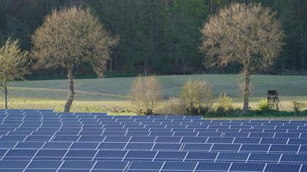 Photovoltaik-Anlagen stehen in einem Solarpark in Schleswig-Holstein.